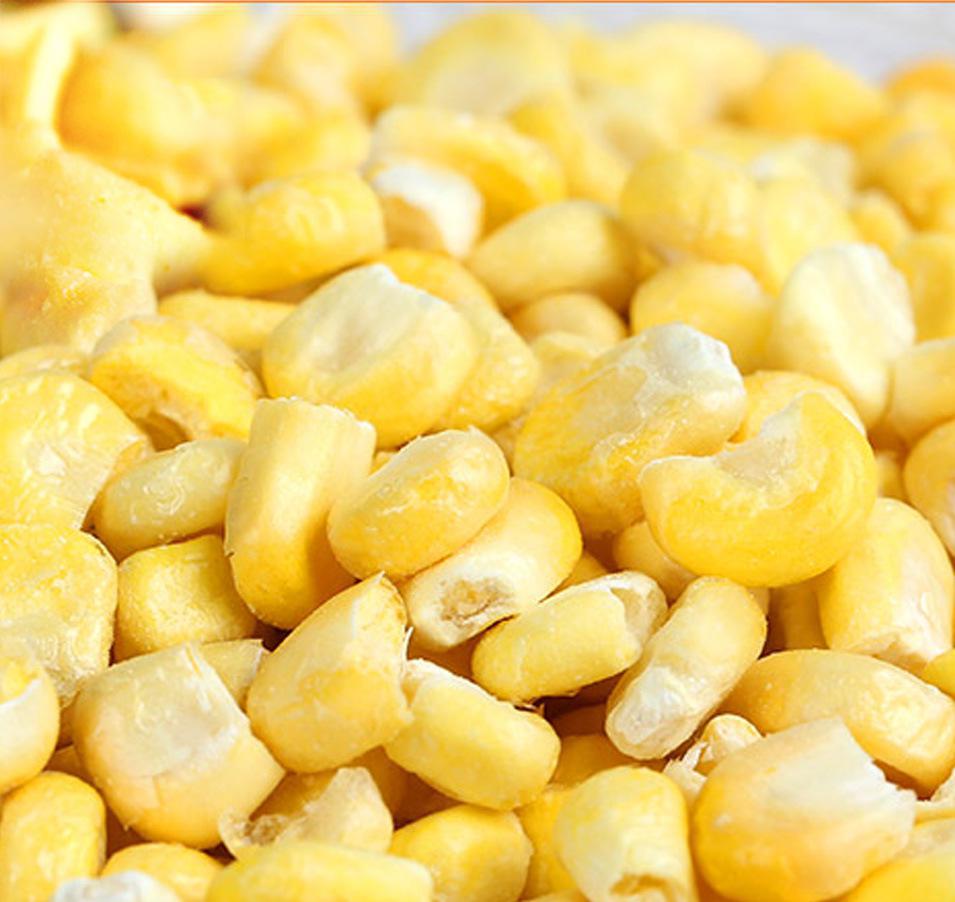 生物基础冻干粉 节能型冻干机 海产品冻干