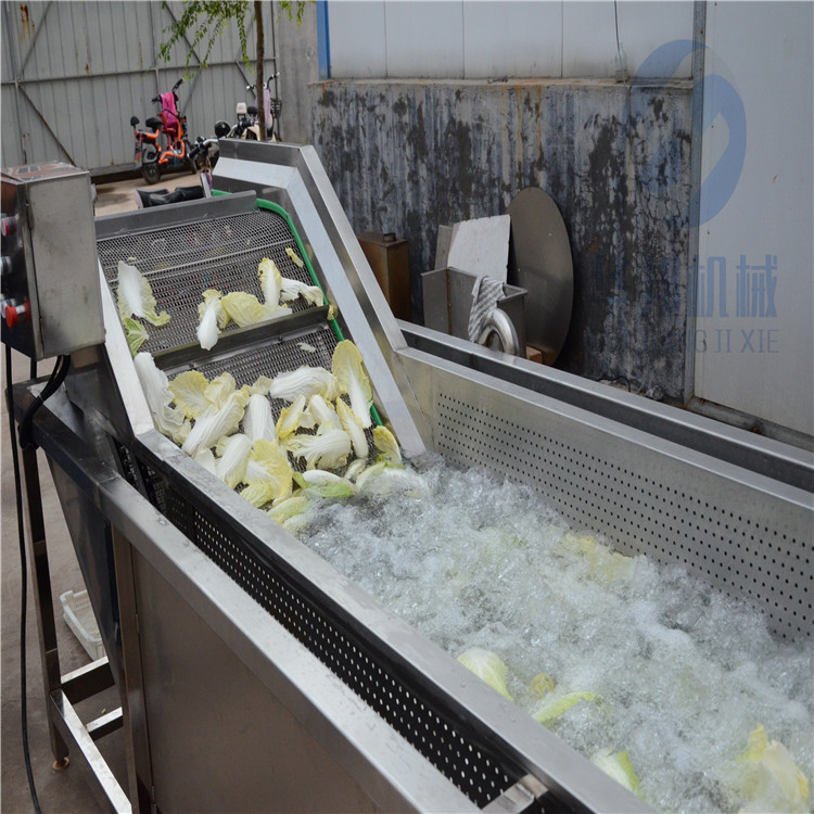 脱水蔬菜加工流水线气泡清洗设备两年质保