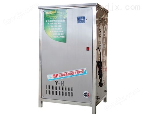 YH-50蒸汽发生器 工业级燃气蒸汽发生器