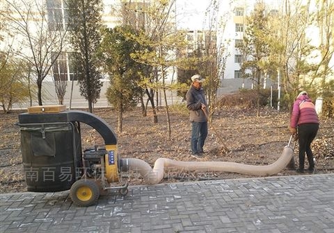 樹葉收集車 集中落葉清理 落葉處理器
