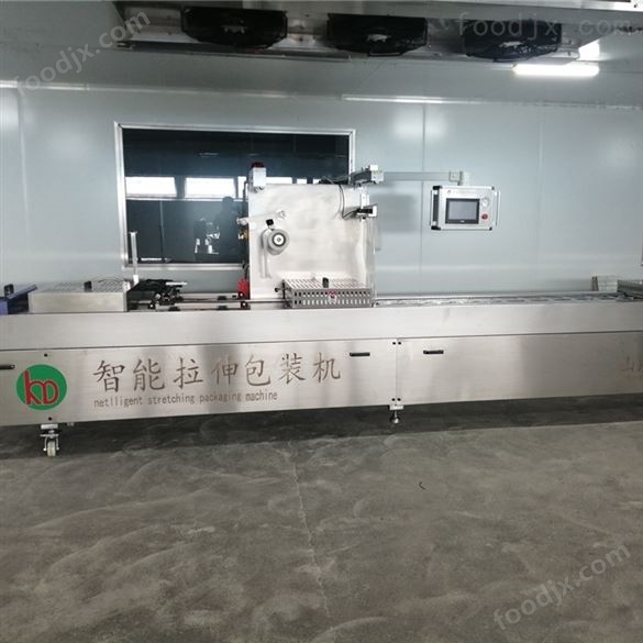 全自動(dòng)連續(xù)包裝機(jī)