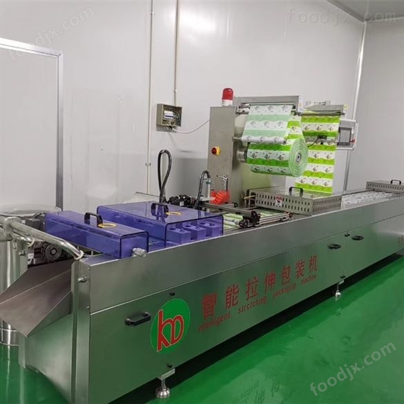 全自動(dòng)連續(xù)包裝機(jī)