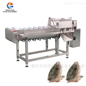 切鱼头机  去草鱼鲩鱼头设备